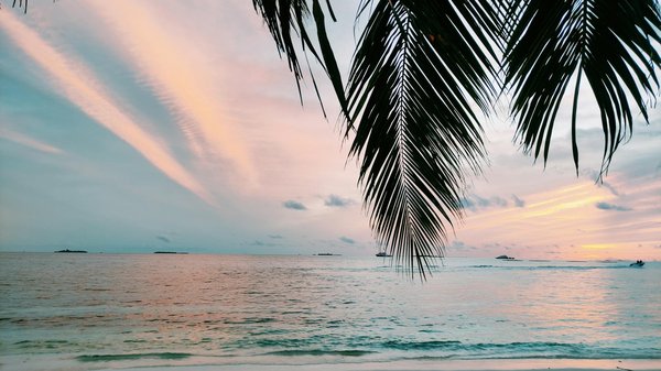 Où pratiquer le snorkeling au milieu des raies manta à Hawaii ?