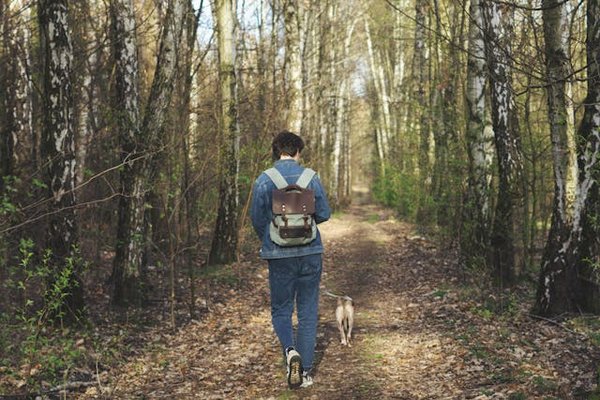Où trouver les meilleures expériences de randonnée dans les montagnes de la Réunion?